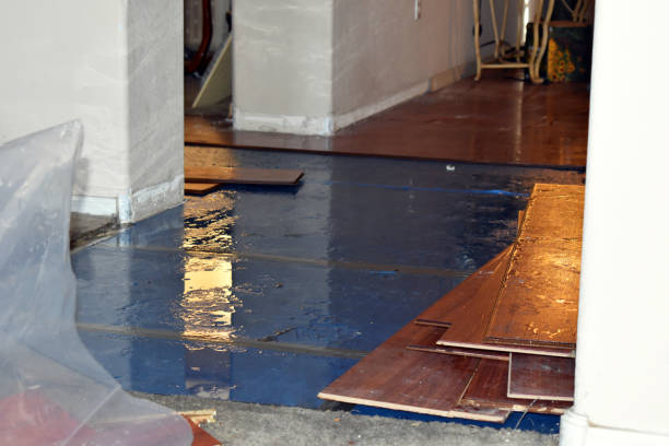 Professional Water Damage Repair technician working in Middletown, RI